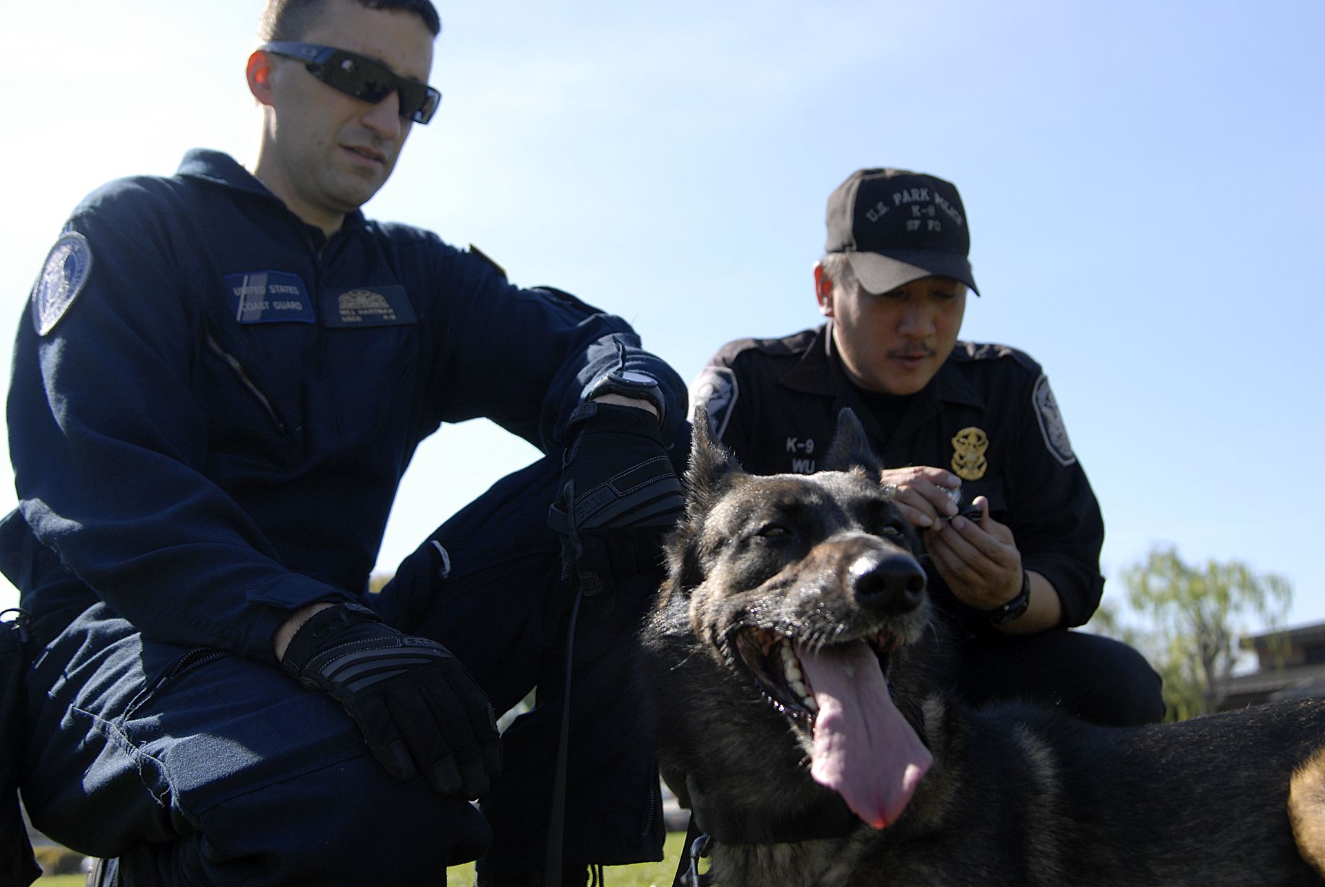 Bay Area Security Guards Security Guards Companies