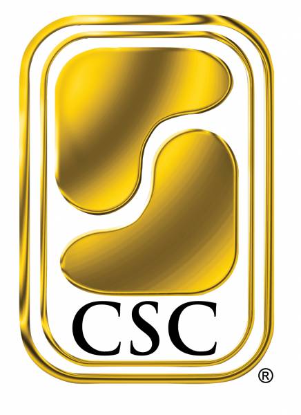CSC Security Services - Security Guards Companies