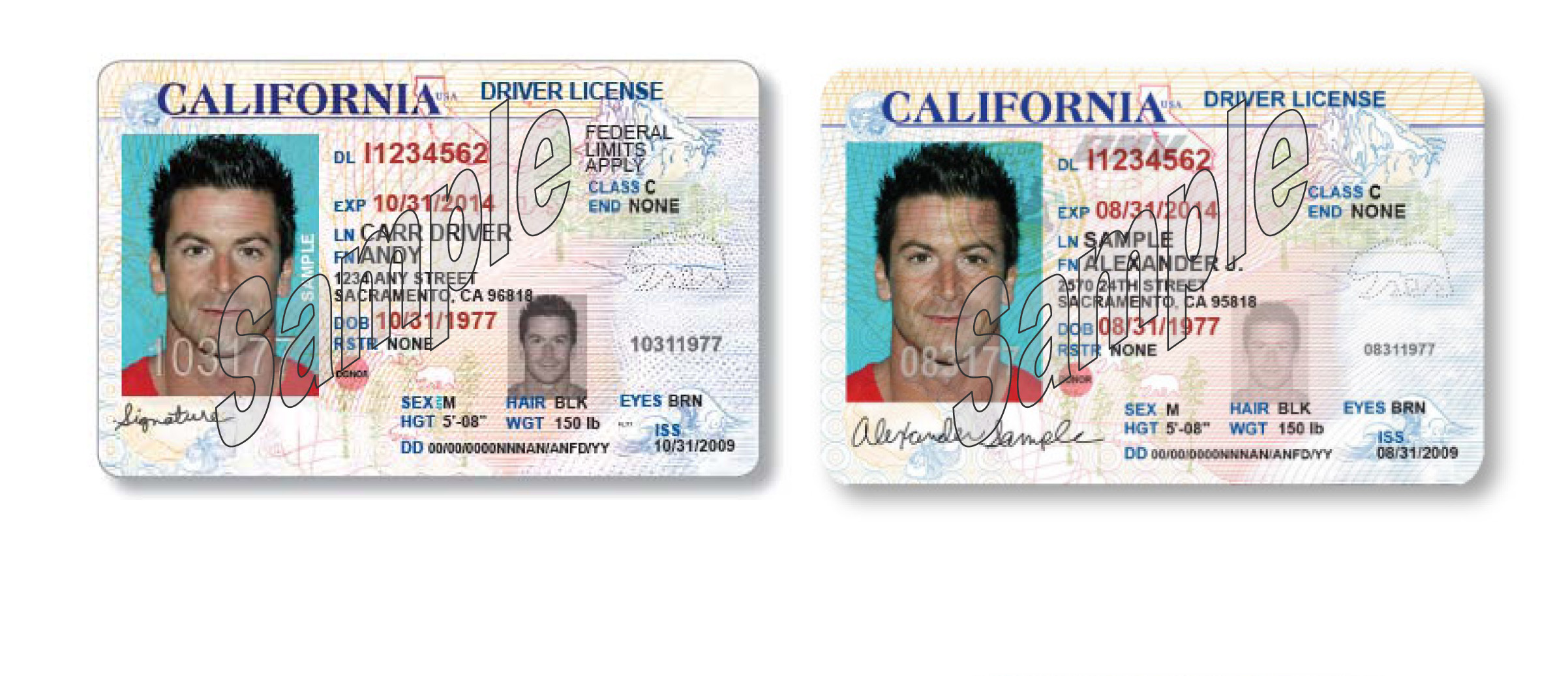 Federal Driver License - Security Guards Companies